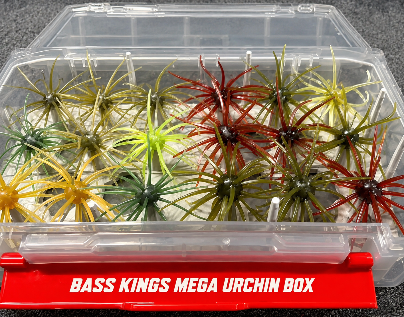 Bass Kings Mega Urchin Box | Premium Coike & Urchin Bait Storage Box Available Now