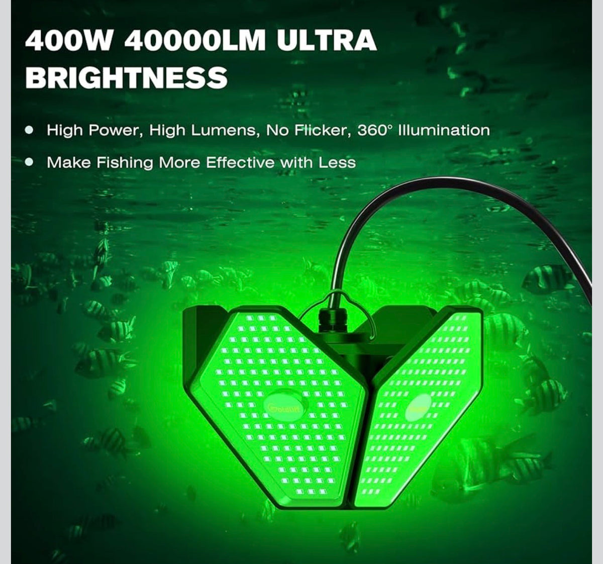 Complete Dock Light Kit – 12 Solar Dock Lights + 2 Underwater Fishing Lights + 24-Hour Timer