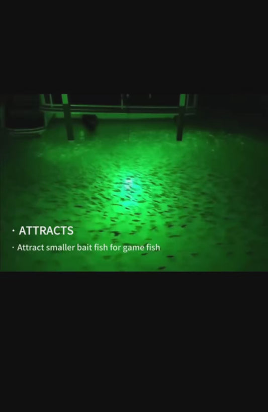 BassKings Green Glow Underwater Fishing Light – Dock + Boat Ready (Fresh & Saltwater)